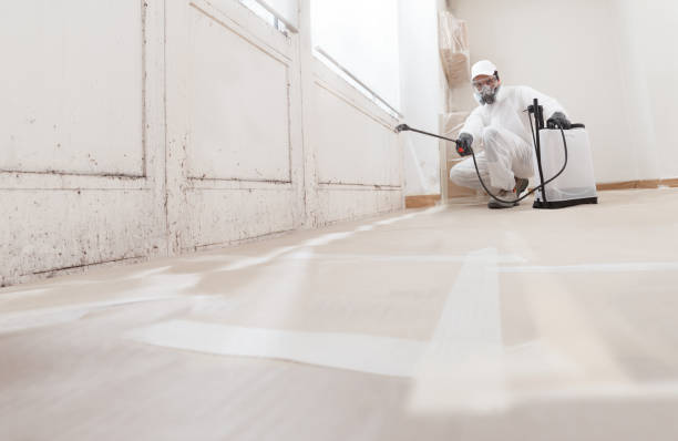 24/7 Emergency Basement Mold Remediation experts in Rutherford, NJ