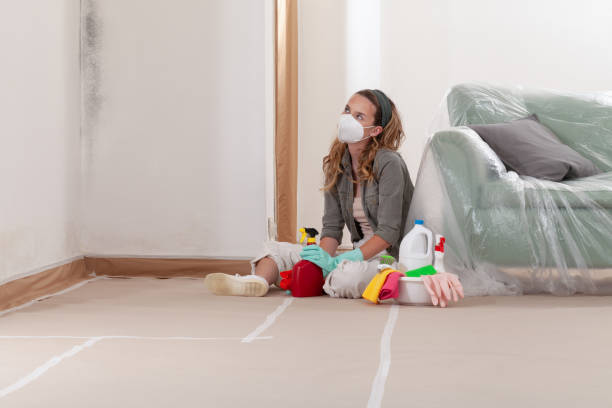 Reliable Basement Mold Remediation contractor in Rutherford, NJ by WQB Mold Removal